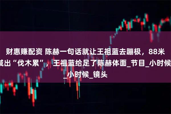 财惠赚配资 陈赫一句话就让王祖蓝去蹦极，88米高空喊出“伐木累”，王祖蓝给足了陈赫体面_节目_小时候_镜头