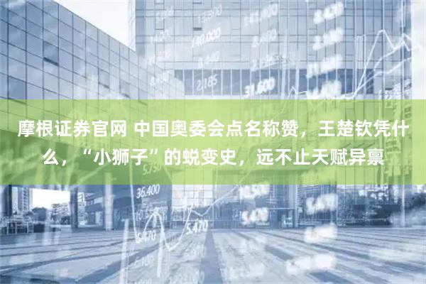 摩根证券官网 中国奥委会点名称赞，王楚钦凭什么，“小狮子”的蜕变史，远不止天赋异禀