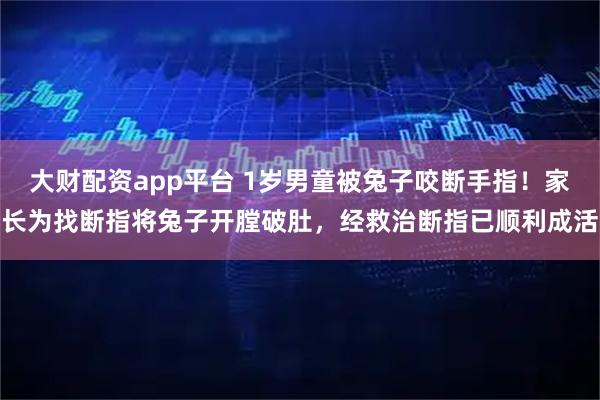 大财配资app平台 1岁男童被兔子咬断手指！家长为找断指将兔子开膛破肚，经救治断指已顺利成活