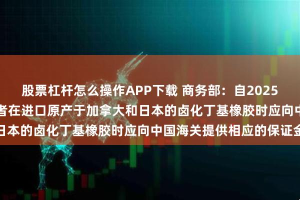 股票杠杆怎么操作APP下载 商务部：自2025年8月14日起 进口经营者在进口原产于加拿大和日本的卤化丁基橡胶时应向中国海关提供相应的保证金