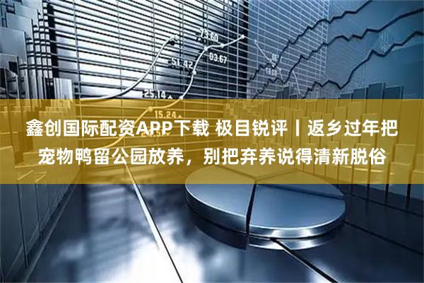 鑫创国际配资APP下载 极目锐评丨返乡过年把宠物鸭留公园放养,别把弃养说得清新脱俗