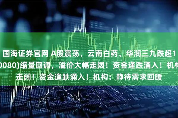 国海证券官网 A股震荡，云南白药、华润三九跌超1%，中药ETF(560080)缩量回调，溢价大幅走阔！资金逢跌涌入！机构：静待需求回暖